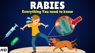 What is Rabies Causes Signs and Symptoms Diagnosis amp Treatment [upl. by Fosdick]