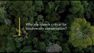 Why are gene drive technologies being considered to help restore biodiversity on islands [upl. by Kcirneh283]