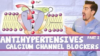 Antihypertensive Calcium Channel Blockers Part 2 [upl. by Pineda924]