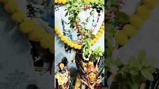 Tulasi kalyanam 2024 krishna lakshmi trending love devotinalsong devotionalsongs tamil video [upl. by Denny615]