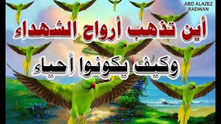 أين تذهب أرواح الشهداء وكيف يكونوا أحياء [upl. by Rocca]