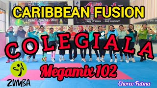 MM 102 COLEGIALA  CARIBBEAN FUSION  ZUMBA WORKOUT  ZUMBA FITNESS MEGAMIX 102 AdindaAeroZumba [upl. by Gilberta157]