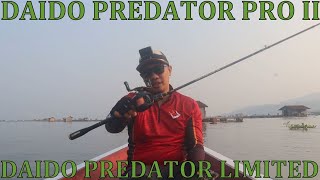 AMISIN DAIDO PREDATOR II X DAIDO PREDATOR LIMITED EDITION [upl. by Jedediah917]