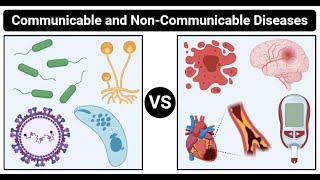 Communicable vs Non communicable Diseases Definition 17 Differences Examples [upl. by Ardis]