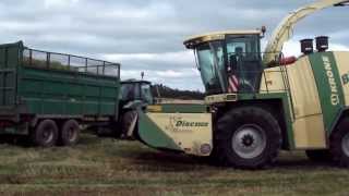 Krone big X 650 wholecrop  George Ross  2013 [upl. by Kaufmann599]