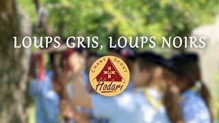 Loups gris loups noirs  Chant Scout [upl. by Inalaeham]