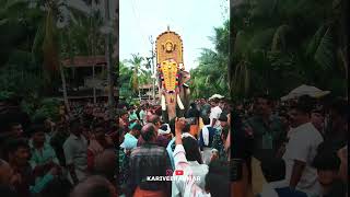 ചന്ദ്രു ❤‍🔥 thiruvambady chandrashekharan  keralaelephant KARIVEERANMARr [upl. by Pomeroy]