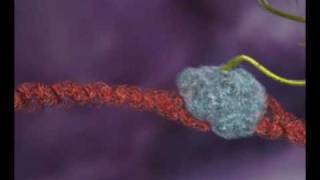 DNA transcription Animation by Interact Medical [upl. by Aleacim]