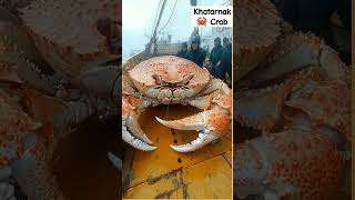 Khatarnak Crab 🦀 shorts viralvideo [upl. by Bork]