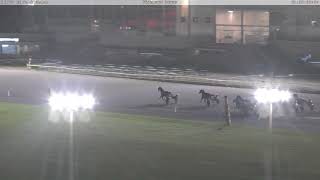 Flamboro Downs October 16th 2024 Race 8 Back Tower [upl. by Aneled]