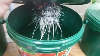 Kratky Tomato Nutrient Experiment FULL Video [upl. by Trevah]