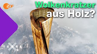 Mit Holz statt Beton klimafreundlicher bauen  Terra X plus [upl. by Lorinda]