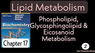 Lippincott Biochemistry  Chapter 18  Lipid Metabolism [upl. by Ontine]