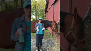 Equine Skin Conditions and COAT DEFENSE® [upl. by Cyb]