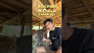 Soltini Ko Naam Karan Vayo😋 villagelifeminivlog villagelifevlog mausuvlog [upl. by Arutek]