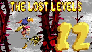 Donkey Kong Country 2 The Lost Levels 100  Part 12 [upl. by Amoihc]