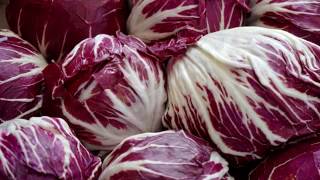 Radicchio proprietà nutritive e benefici [upl. by Aneleh]