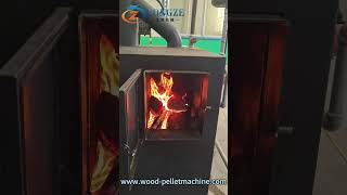 Fully automatic wood burning fireplace with firewood room [upl. by Glennie]