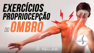 OMBRO EXERCÍCIOS PROPRIOCEPTIVOS PARA INSTABILIDADE GLENOUMERAL Clínica Fisioterapia Dr Robson Sitta [upl. by Eat]