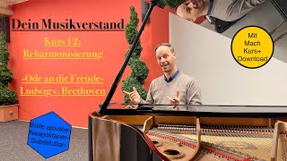 Dein Musikverstand 12🎼🧠 Die Freude am Harmonisieren Ein Kleinod für deinen Musikverstand [upl. by Osrit184]