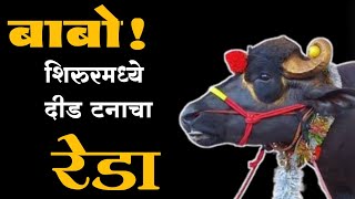 कृषी प्रदर्शनशिरूर reda रेडा shirur shirurkatta shirurnews viral shetkari comedy funny [upl. by Arutek]