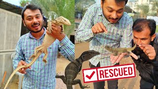 BARI CHIPKALI PAAl LI OR CHOTI LIZARD AZAAD KAR DI  RESCUED amp RELEASED 🛟 [upl. by Trotta853]