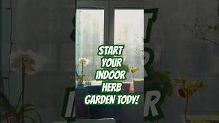 Start Your Indoor Herb garden Today🌿No Backyard Needed plants plantingtips gardening [upl. by Elleinet]