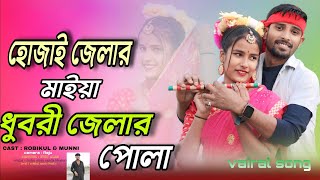 হোজাই জেলার মাইয়া ধুবরী জেলার পোলা  Singer Nuhu Alam Shajida khatun  Bangla Song [upl. by Eeclehc]