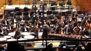 Ney Rosauro Double Concerto for Marimba Timpani MOV1 Divertimento [upl. by Esidnak]