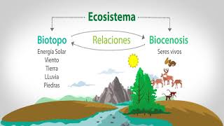 EL BIOTOPO Y LA BIOCENOSIS [upl. by Ocramed872]