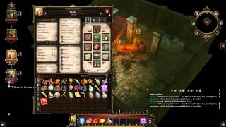 Divinity Original Sin Coop Walkthrough part 25 Source Nightmare [upl. by Yssirk]