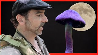 Uncovering Mystical Mushrooms and Hidden Wonders PT1 [upl. by Aleedis]