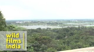 Shanti Stupa at Dhauli Giri Bhubaneswar [upl. by Yxel]