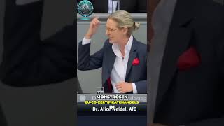 Alice Weidel  Die Auswirkungen der EUGebäuderichtlinie Wohlstandsvernichtung und Enteignung 💥 [upl. by Dnalerb88]