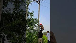 11 KV power line Work  ytshorts lineman electrician shorts [upl. by Ranjiv912]