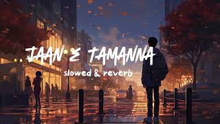 jane tamanna jaan ada full song SLOWED amp REVERB LOFISONGtg5ws [upl. by Saenihp548]