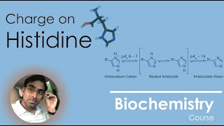 How Charge of Histidine varies with pH [upl. by Einamrej744]