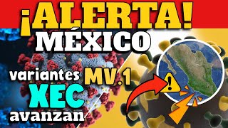 ALERTA EN MÉXICO  VARIANTES MV1 Y XEC AVANZAN [upl. by Renferd]