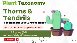 Thorns Tendrils amp Phylloclade  Specialized structures of plants  Dr Praveen Mohil [upl. by Stevy596]