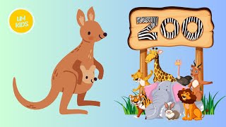 Kangaroo Cartoon  Kids Cartoon  Animal Learning [upl. by Bradford]