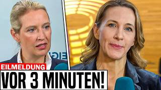 Reporterin versucht Alice Weidel bloßzustellen und kassiert heftige Standpauke [upl. by Kristie845]