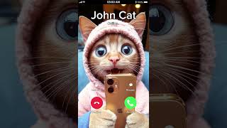 BABY JOHN CAT IS CALLING 👋🐯😂👍 [upl. by Ahsiam]