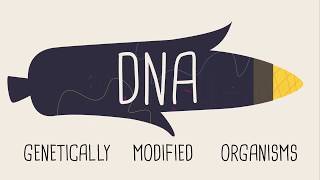 WHAT IS GENETICALLY MODIFIED ORGANISM ADVANTAGES AND DISADVANTAGES OF GMO [upl. by Sirrep]