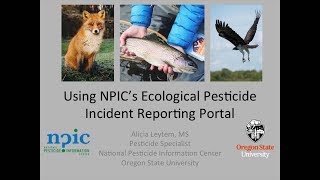 Using NPICs Ecological Pesticide Incident Reporting Portal [upl. by Mayor]