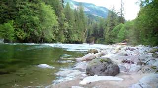 my brother shane fishing in chehalis river [upl. by Anerul]