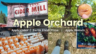 Cozy Apple Orchard  Apple Cider amp Donuts  Aesthetic Fall Adventure [upl. by Iniffit]