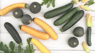 Nos conseils de culture  courgettes [upl. by Asenab]