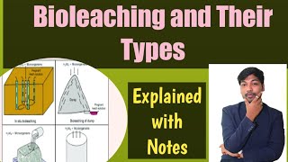 Bioleaching and their TypesGoldProcessCopperuraniumEnvironmental MicrobiologyRohit S Mane [upl. by Einnil70]