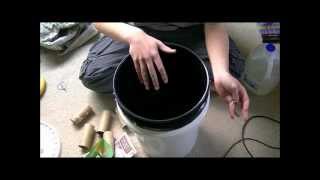 How To Set Up a Worm Bin [upl. by Cirdnek]