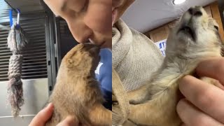 Prairie Dog Makes The Happiest Sound Ever [upl. by Annis450]